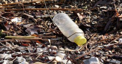 Recyclage plastique. Recyclage de bouteilles en PET.
